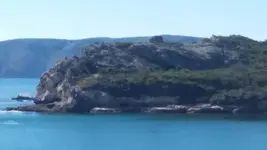 1427173094193.webp