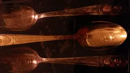 1425258774317-785809003.webp