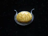 DSCN1817.webp
