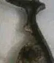 I1425936498-1.webp