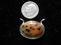 DSCN1822.webp