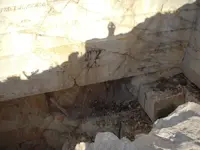 DSCN4322.webp