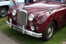 jaguar.webp
