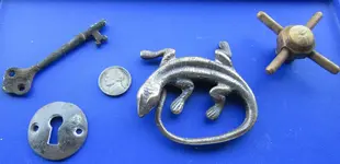 lizard 005X.webp