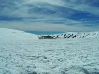 utah nevada 1.webp