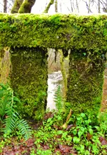 DSCN7363.webp