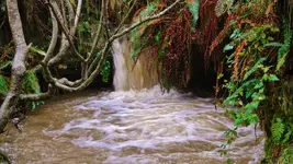 DSCN7244.webp