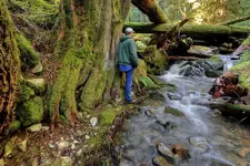 0212rt.webp