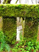 DSCN7363.webp DSCN7363.webp