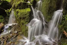 01223232.webp