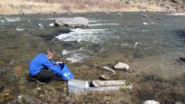 Gold Trip 3222015 012.webp