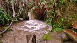 DSCN7245.webp