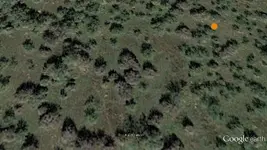cache21-Red Fox 4.webp