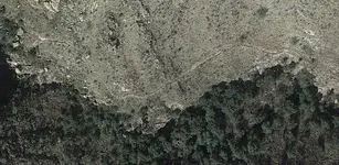 tumatrail.webp