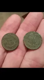 Indian Penny Backs 2-14-2015.webp