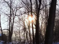K1600_003.webp