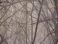 K1600_010.webp