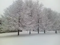 snow.webp