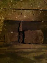 ImageUploadedByTreasureNet.com1423306843.144639.webp