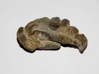 DSCN9051.webp