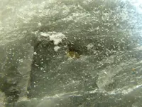quartz inclutions 001.webp
