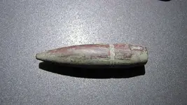 Metal Detecting 03112015 046.webp