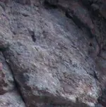 Untitled.webp