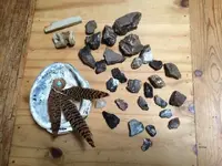 ImageUploadedByTreasureNet.com1427220861.133823.webp