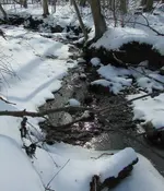 streammelt.webp streammelt.webp