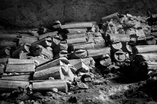 coffins 2.webp