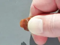Agate-ScanlonToolLike-IMG_6066SSSS.webp
