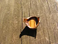 PICT0012.webp