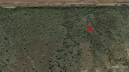 GoldandSilverCaches)-Red Fox 4.webp