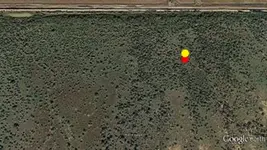 GoldandSilverCaches)-Red Fox 4.webp