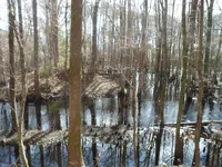 2-7-15 001.webp