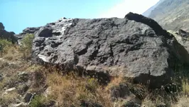 156846889.webp