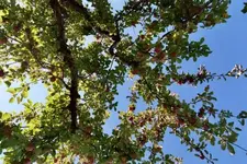 013_13.webp