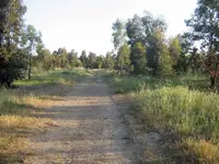 tarna.webp