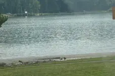 beach.webp