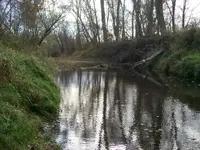 100_1665.webp