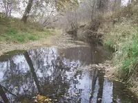 100_1681.webp