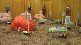 Garden Giants.webp Garden Giants.webp