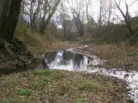 100_1670.webp