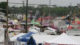 The Midway.webp The Midway.webp