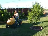 bushmow.webp