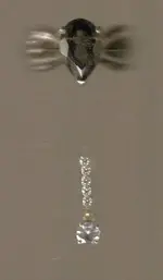 jewelry.webp
