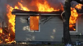 flamedemons (Large).webp