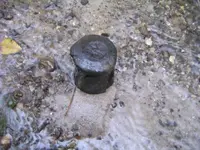 Vertebrae on Creekbed.webp Vertebrae on Creekbed.webp