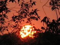 assorted 114.webp