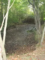 EmptyPond1.webp